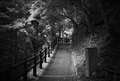 R5Mark�U F1.0 ND8�t�B���^�[�g�p