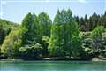 ��7R�W�{�V�O�}28-70mmF2.8 DG DN Contemporary