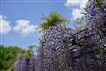 ��7R�W�{�V�O�}28-70mmF2.8 DG DN Contemporary