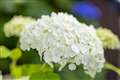 f1.8 1/5000 0.3ev ISO200