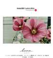 leica�̃E�H�[�^�[�}�[�N����ł����ƍ��𑜓x�ɏo����Ƃ����̂�����