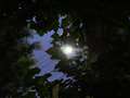 1/60s f/1.8 ISO3200