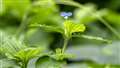�}�c�o�c���N�T�@400mm, F11, 1/640,  ISO2000