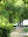 25-50mm/f1.7
