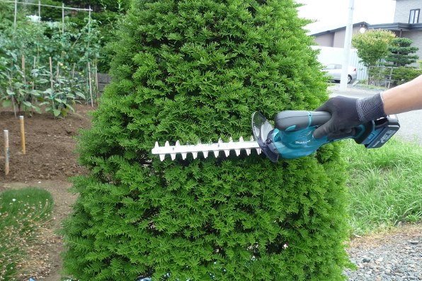 初めての充電式ミニ生垣バリカン』 マキタ MUH263DZ ぷっかり雲さんの