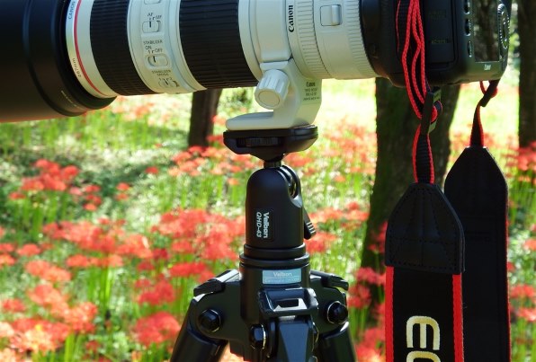ベルボン QHD-43 価格比較 - 価格.com