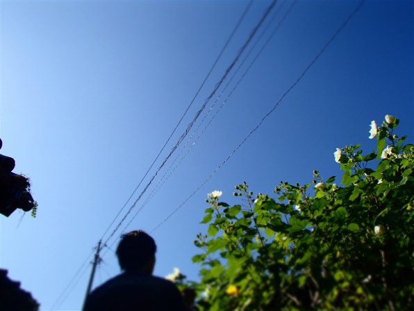 オリンパス OLYMPUS STYLUS TG-625 Tough [ブルー]で撮影された写真