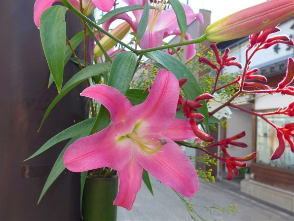 ライカ LEICA C Typ 112 [ダークレッド]で撮影された写真 (レビュー