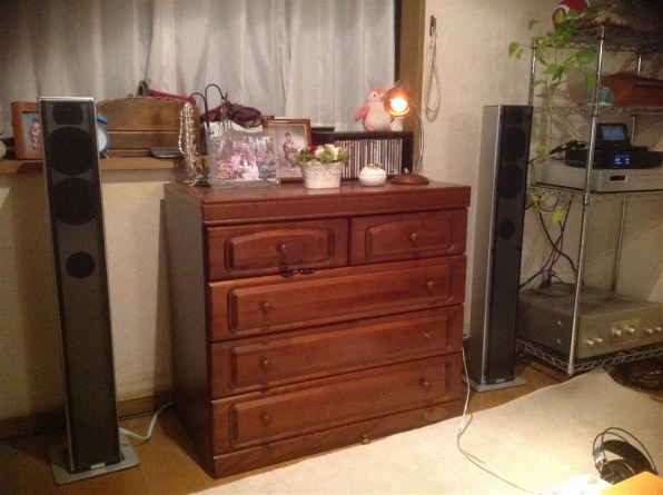 PIEGA TS5 トールボーイ スピーカーペア 音響機器 オーディオ ピエガ