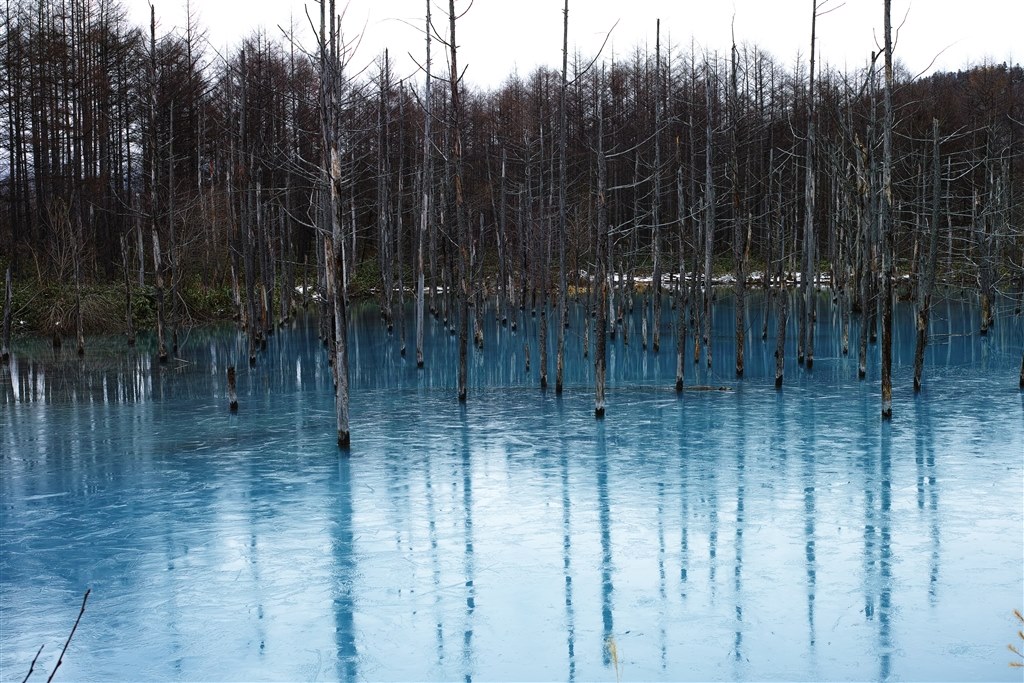 SIGMA DP2 Merrill と SIGMA DP3 Merrill の画角』 シグマ SIGMA DP2