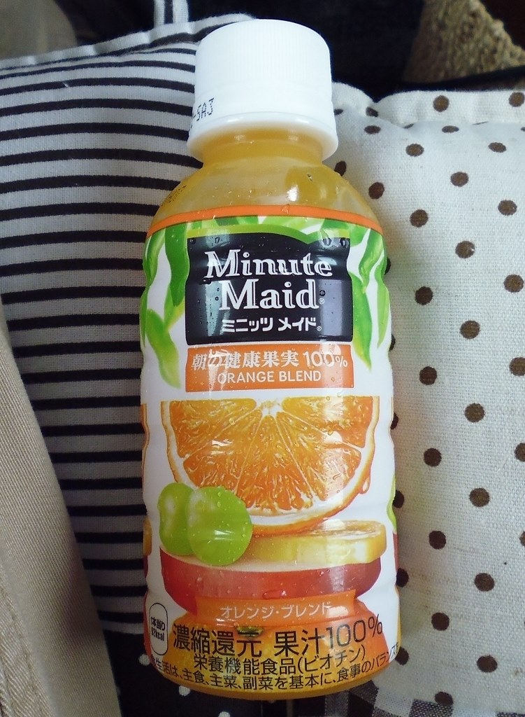 minute maid オレンジ Minute Maid オレンジ 100 業務用 6本入り2箱