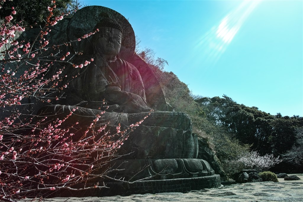 SIGMA DP Merrill シリーズ』 シグマ SIGMA DP3 Merrill K.Wakayama