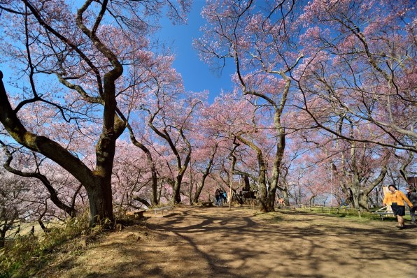 ニコン AF-S DX NIKKOR 10-24mm f/3.5-4.5G ED レビュー評価 ニコン AF-S DX NIKKOR 10-24mm f/3.5-4.5G ED レビュー評価