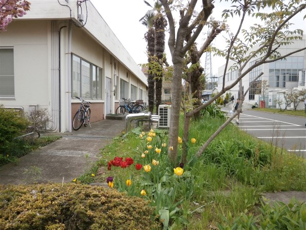 オリンパス OLYMPUS STYLUS VG-190 [シルバー]投稿画像・動画