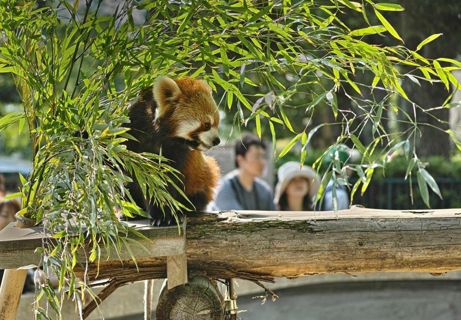 画角と画質がいいです』 シグマ SIGMA DP3 Merrill nomu555さんの