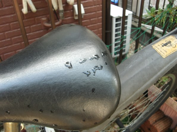 GE C1233で撮影された写真 - 価格.com GE C1233で撮影された写真 - 価格.com