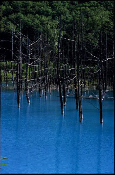 ニコン COOLSCAN V ED 価格比較 - 価格.com