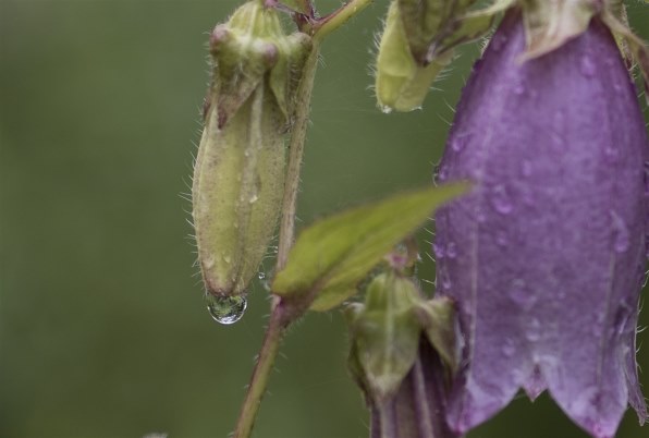 ペンタックス smc PENTAX-D FA645 55mmF2.8AL[IF] SDM AWで撮影された