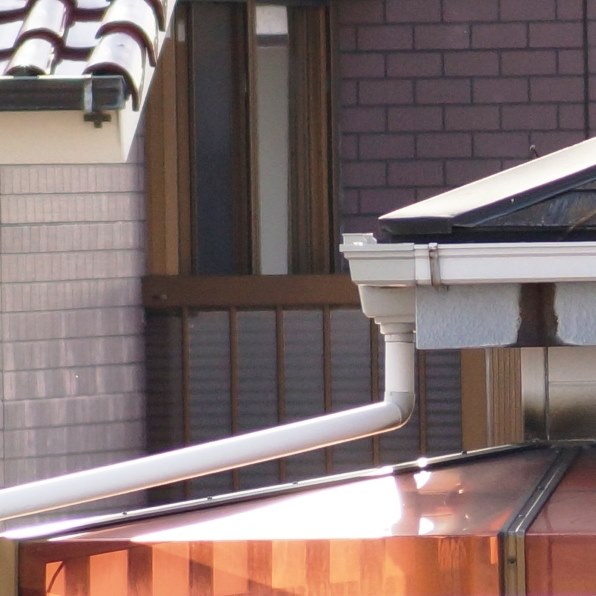SONY DT 55-200mm F4-5.6 SAM SAL55200-2で撮影された写真 SONY DT 55-200mm F4-5.6 SAM SAL55200-2で撮影された写真