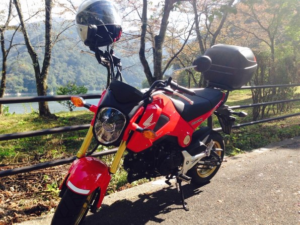 ホンダ グロム レビュー評価・評判 - 価格.com ホンダ グロム レビュー評価・評判 - 価格.com