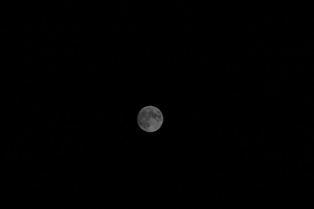 必要十分』 SONY E 55-210mm F4.5-6.3 OSS SEL55210 家電調べ 必要十分』 SONY E 55-210mm F4.5-6.3 OSS SEL55210 家電調べ