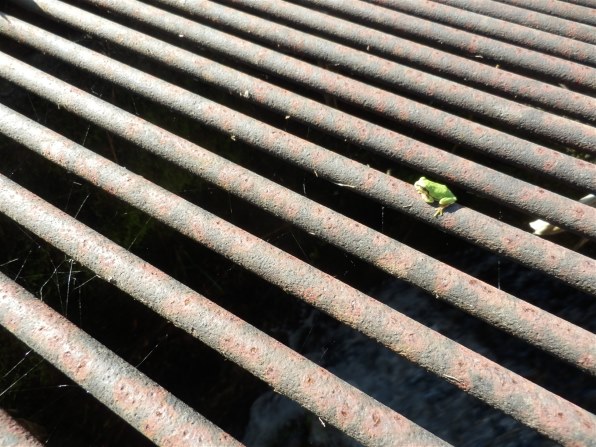 オリンパス OLYMPUS SH-21投稿画像・動画 - 価格.com