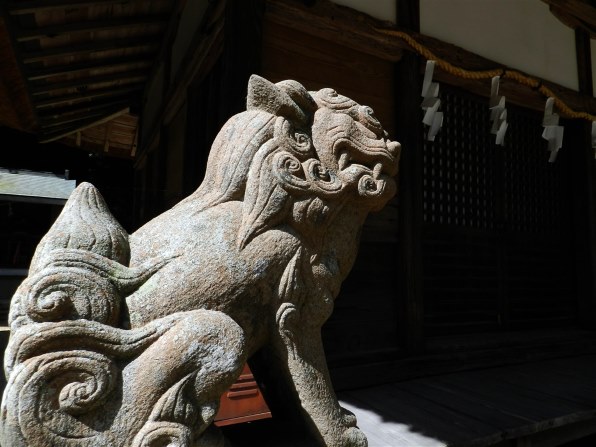 ニコン COOLPIX P500投稿画像・動画 (レビュー) - 価格.com