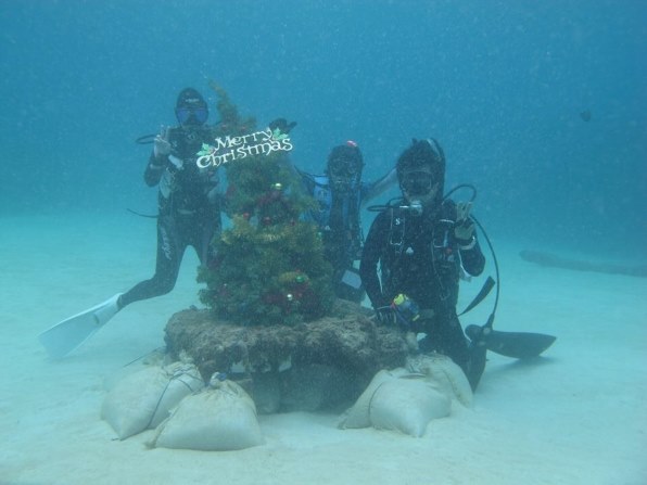 CANON WP-DC34 ウォータープルーフケース投稿画像・動画 (レビュー