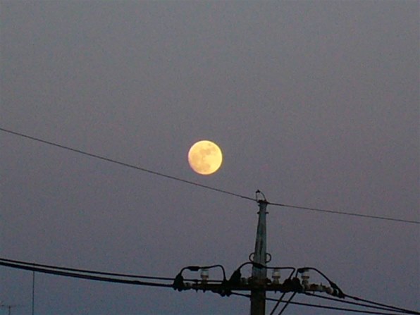 パナソニック DMC-LC33で撮影された写真 (レビュー) - 価格.com