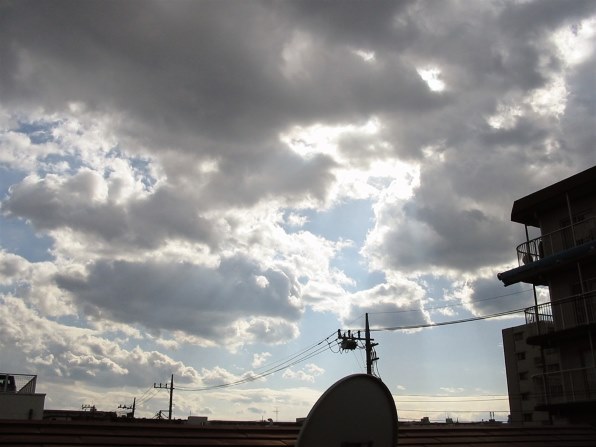 CANON PowerShot A20投稿画像・動画 - 価格.com