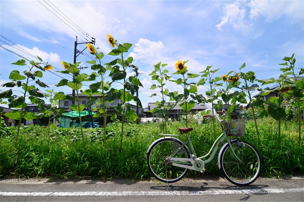 画質が素晴らしい広角ズームレンズ Tokina At X 124 Pro Dx Ii 12 24mm F4 ニコン用 Aki401さんのレビュー評価 評判 価格 Com