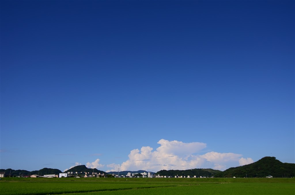 画質が素晴らしい広角ズームレンズ』 TOKINA AT-X 124 PRO DX II 12