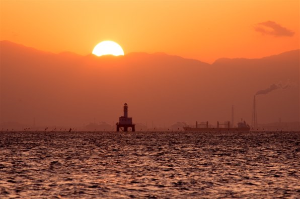 smc PENTAX DA55−300mm F4-5.8 ED 実写例あり smc PENTAX-DA L 55-300mm F4-5.8 ED カビ クモリ除去および作例