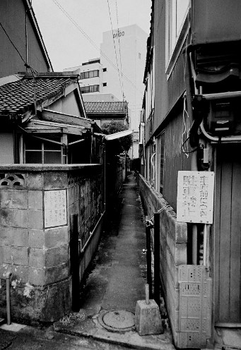 コシナ フォクトレンダー COLOR-SKOPAR 20mm F3.5 SLII N コシナ フォクトレンダー COLOR-SKOPAR 20mm F3.5 SLII N