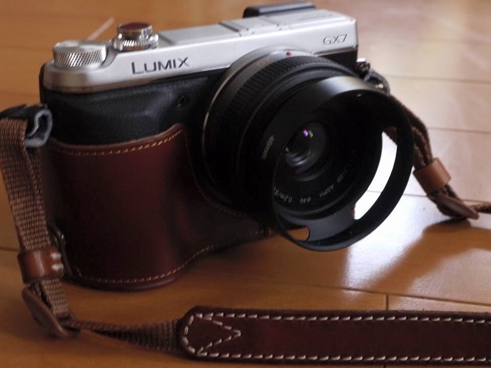 コスパ最高です』 パナソニック LUMIX DMC-GX7-S ボディ [シルバー