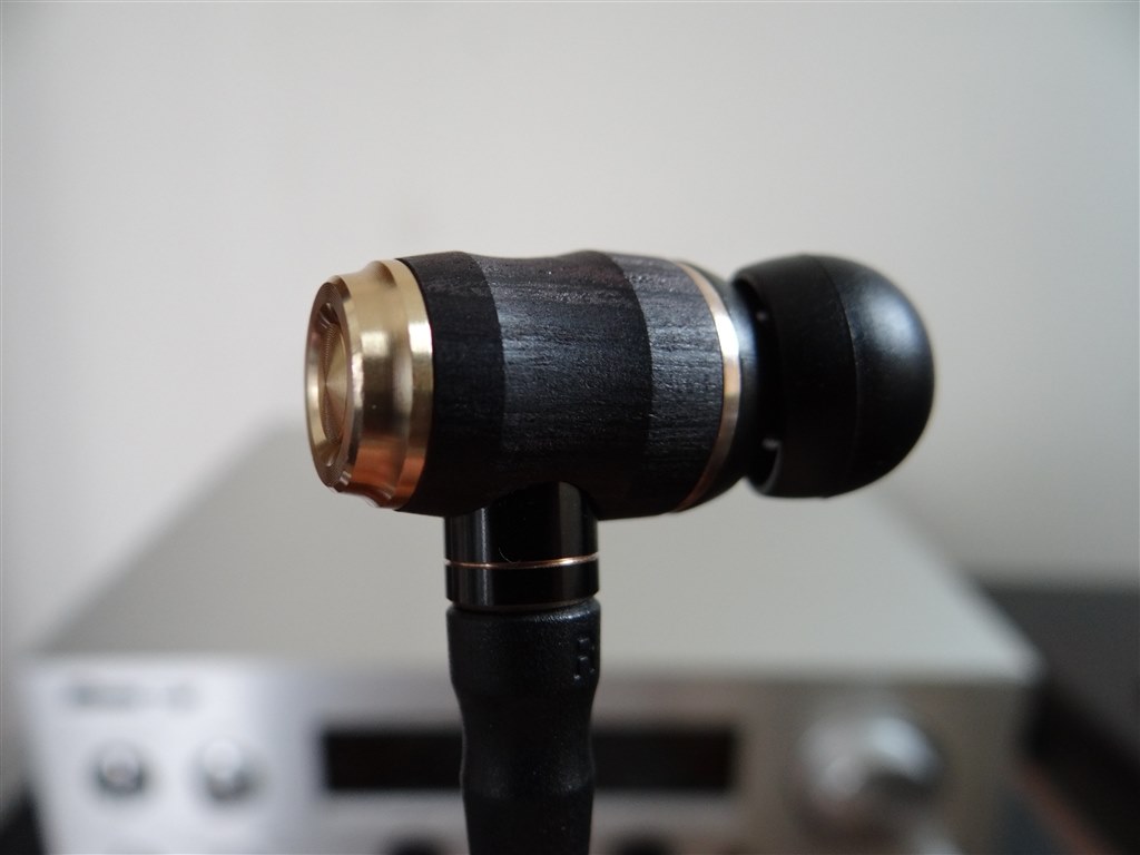 ジャンルさえ絞れば最高の相棒』 JVC HA-FX1100 すわろうずさんの