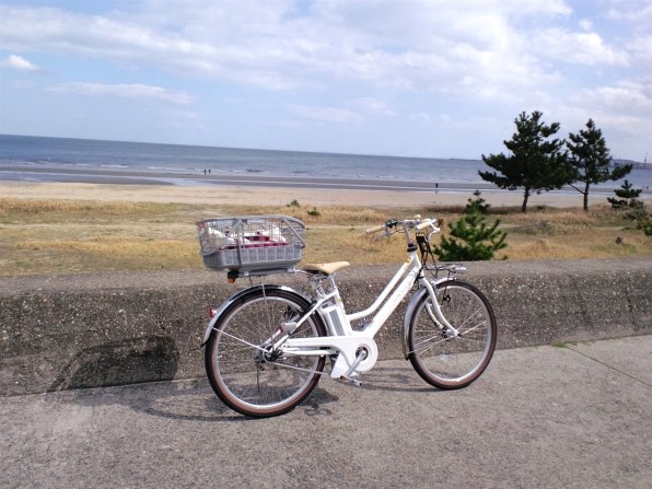 ヤマハ PAS Mina PA26M [シルキーホワイト] + 専用充電器投稿画像