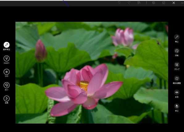 その他 Capture NX 2 Amazon.co.jp: Capture NX 2 : PCソフト
