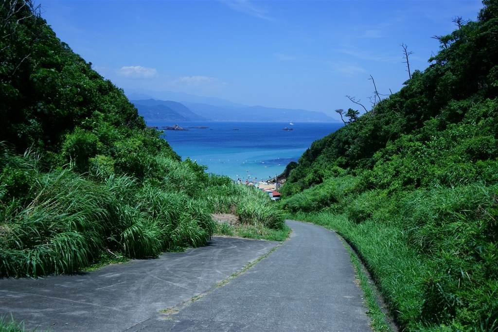 風景・旅行・動画撮影に使える最高のレンズ』 SONY Vario-Tessar T* FE