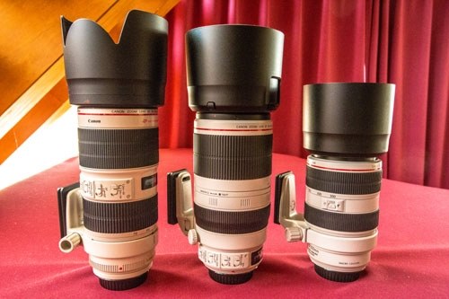 カミソリ望遠！』 CANON EF70-300mm F4-5.6L IS USM tohrmahlerさんの