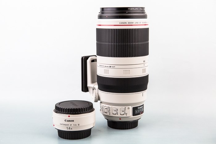 どっちがボケる？ EF70-200L VS EF100-400L』 CANON EF100-400mm F4.5
