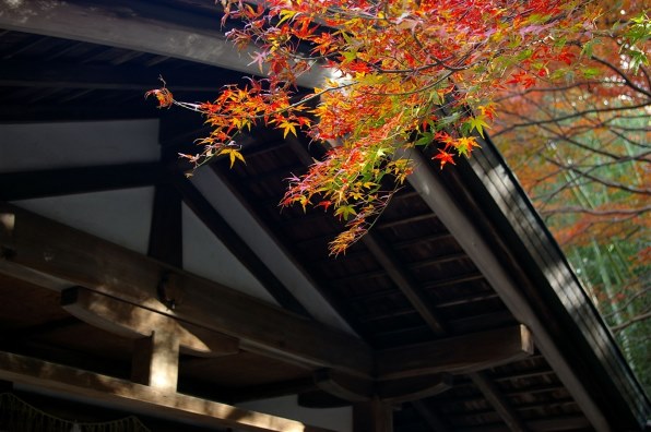 ペンタックス PENTAX *ist DL2 レンズキットで撮影された写真