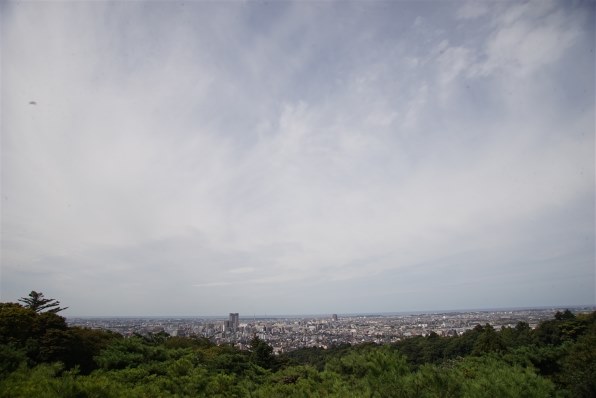 シグマ 20-40mm F2.8 EX DG ASPHERICAL [ソニー用]投稿画像・動画