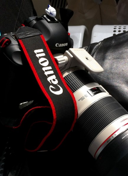 やはりAPS-Hが好き。』 CANON EOS-1D Mark IV ボディ DeadHeadCrewさん