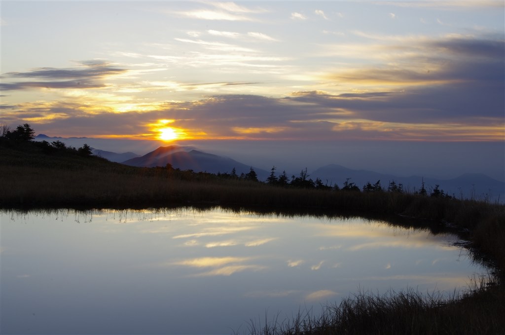 ヘタレ ZX-R740 公式限定非売品カッティングステッカー付 | ZEXUS公式サイト