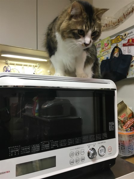 東芝 電子レンジ　石窯ドーム ER-ND300 TOSHIBA 東芝 オーブンレンジ ER-ND300 石窯ドーム