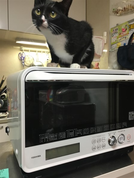 東芝 石窯ドーム ER-ND300(W) [グランホワイト]投稿画像・動画