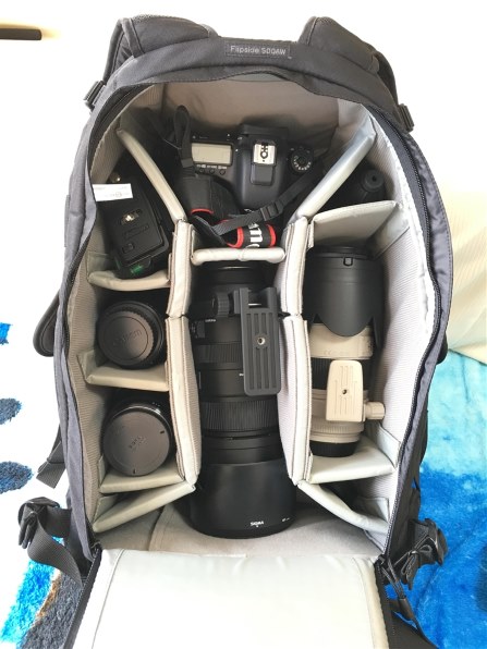 ロープロ　フリップサイド500AW II カメラリュック Amazon.com : Lowepro LP37131, Flipside 500 AW II Camera