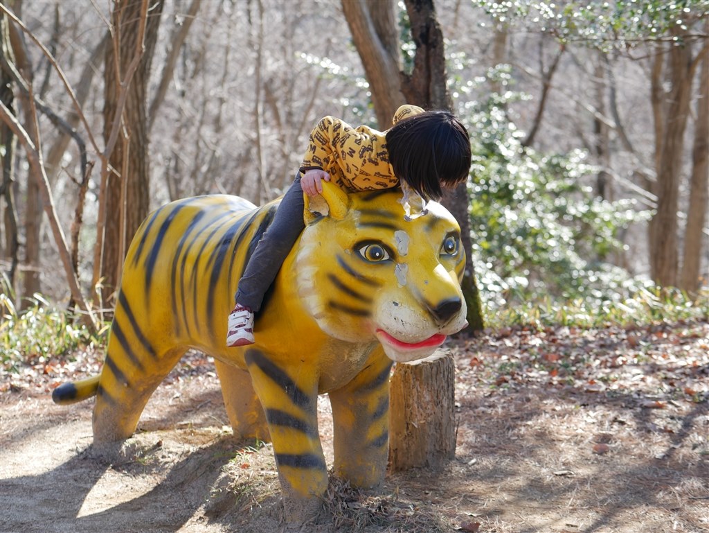 一眼カメラで子どもの動画撮影！』 パナソニック LUMIX DMC-G7