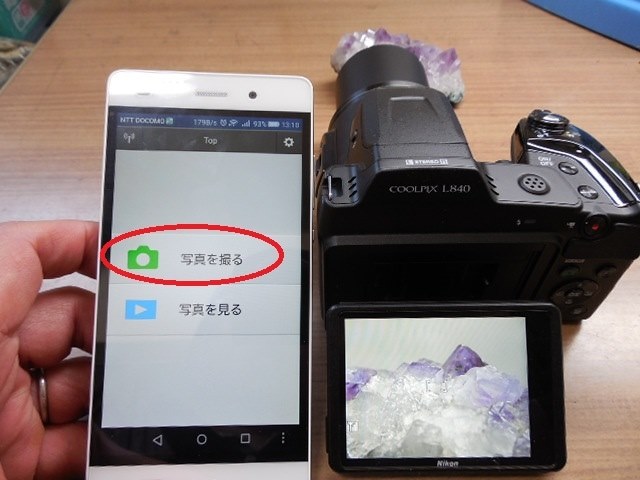 □単三でスマホと相性のいい望遠コンデジ』 ニコン COOLPIX L840 とり 